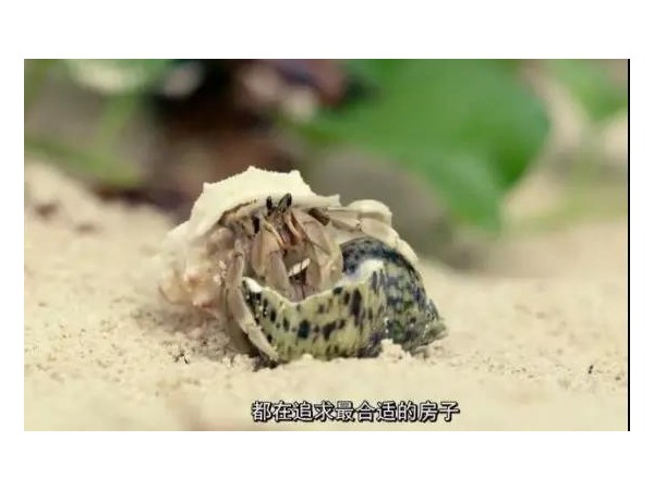 會移動的戶外廣告來了，根本不夠看！
